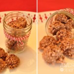 Chocolate Coconut No-bake Cookies