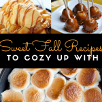 Sweet Fall Recipes to cozy up with Round up