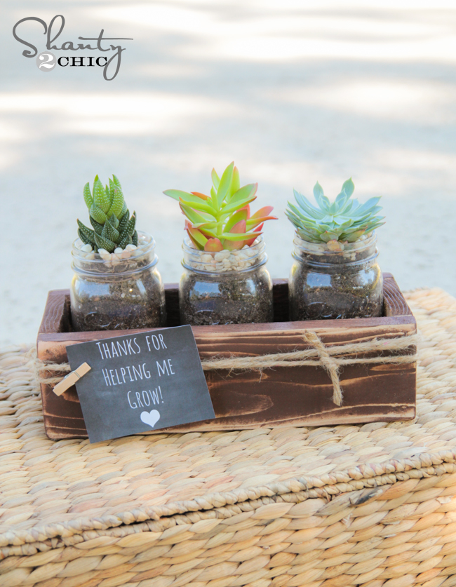 Teacher Gifts - DIY Succulent Jars