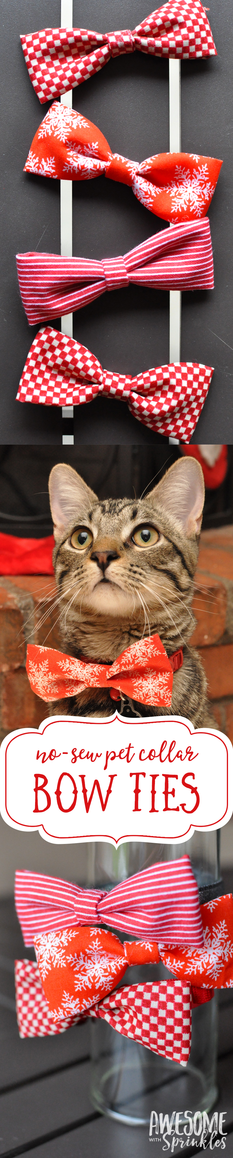 No-Sew Pet Collar Bow Ties | Awesome with Sprinkles