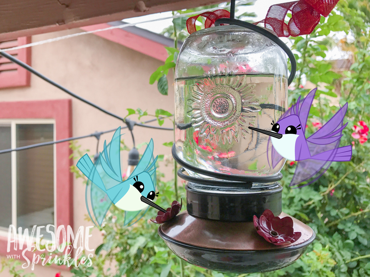 Homemade Hummingbird Nectar + Tips for cleaning your feeder | Awesome with Sprinkles