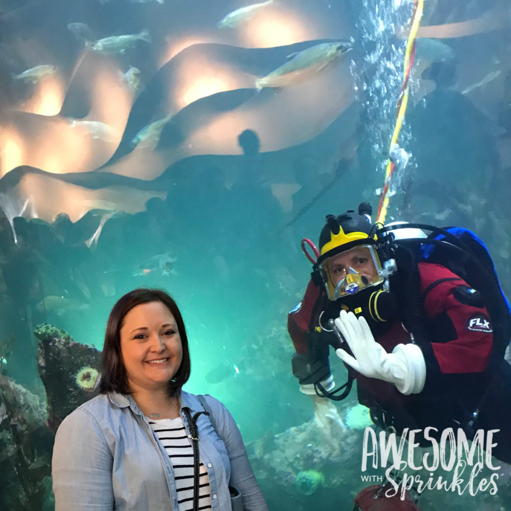 Seattle Aquarium